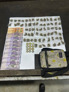 Policía y Ejército ocupan más de 490 porciones de drogas en Santiago